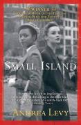 book cover: Small island