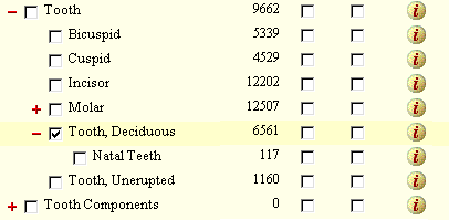 subject Tree for Tooth, Deciduous